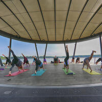 Foto 1 von 1 aus der Galerie zum Filmpost-Artikel Sie dürfen wieder – Yoga für Jedermann am Blausteinsee vom 30.06.2020