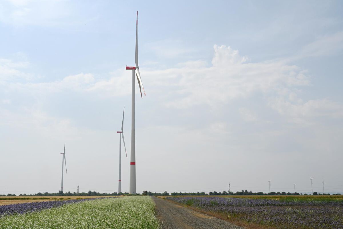Opening Bedburg Wind Farm 2022 - RWE